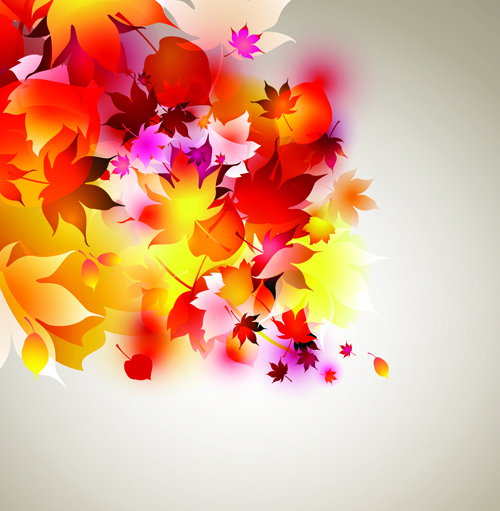 set of abstract autumn leave design elements vector