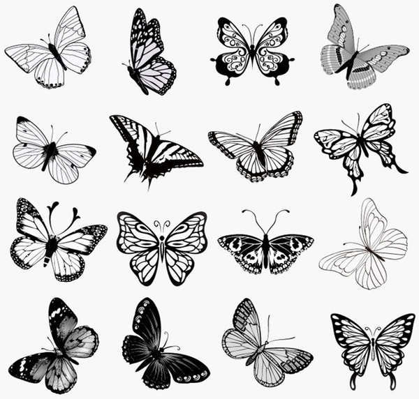 Download Set of Butterflies Silhouettes Vector Illustration Free vector in Encapsulated PostScript eps ...