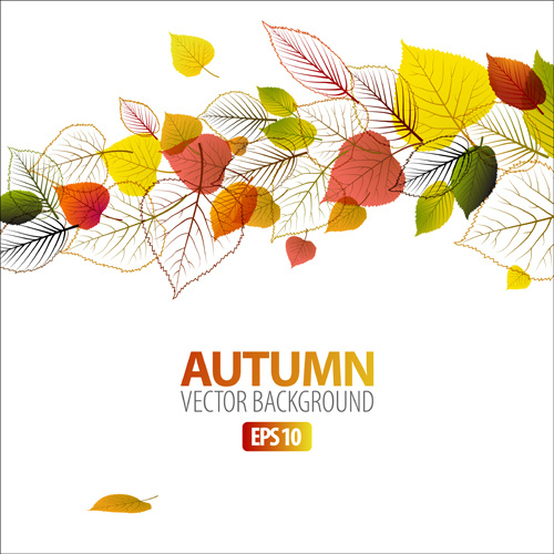 set of charm autumn backgrounds vector