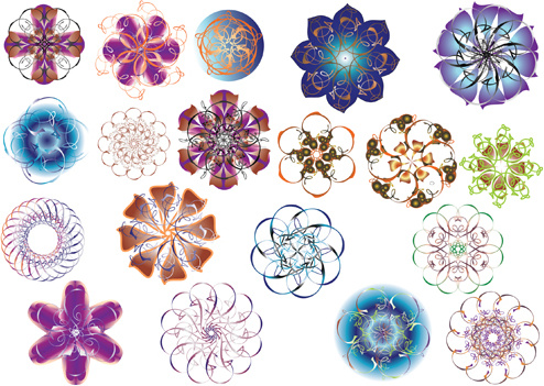 set of color ornaments flowers art graphic vector