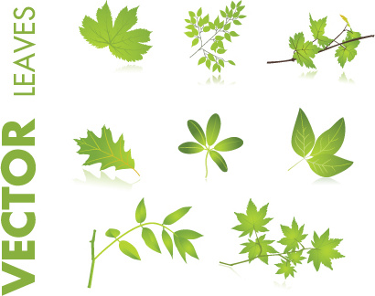 set of creative ecology labels vector graphics 