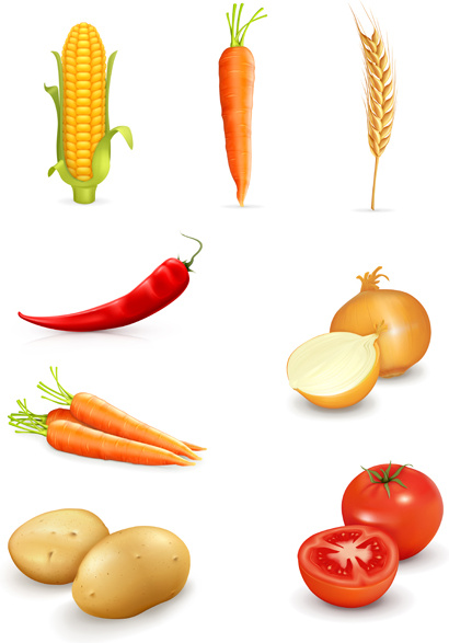 set of different vegetable mix vector
