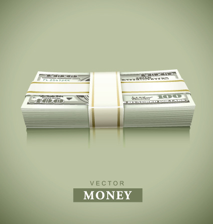 set of dollars in bundles design vector