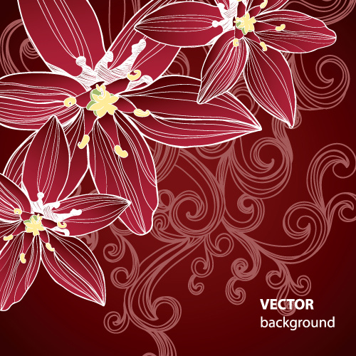 set of drawing flower vector backgrounds vector
