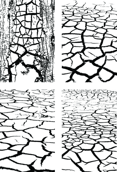 Set Of Dry Land Pattern Design Vector Graphic Vectors Graphic Art