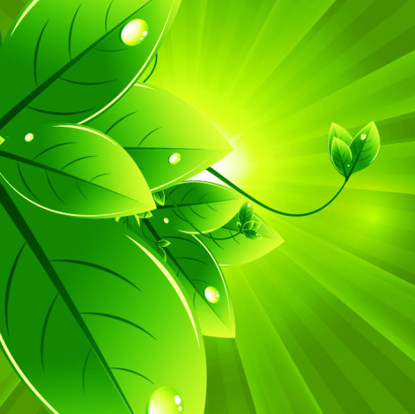 set of eco friendly with green leaves background vector