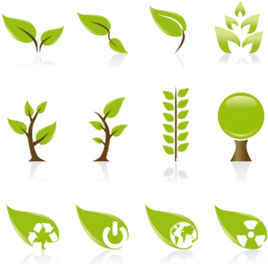 set of exquisite leaves vector graphics part