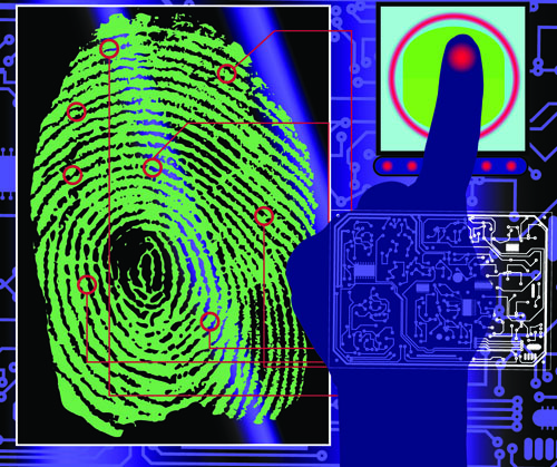 set of fingerprint identification vector