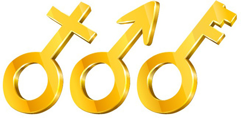 set of golden symbols design elements vector