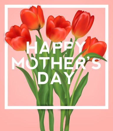 set of happy mother039s day art background vector