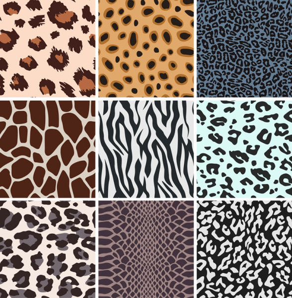 Download Leopard free vector download (78 Free vector) for ...
