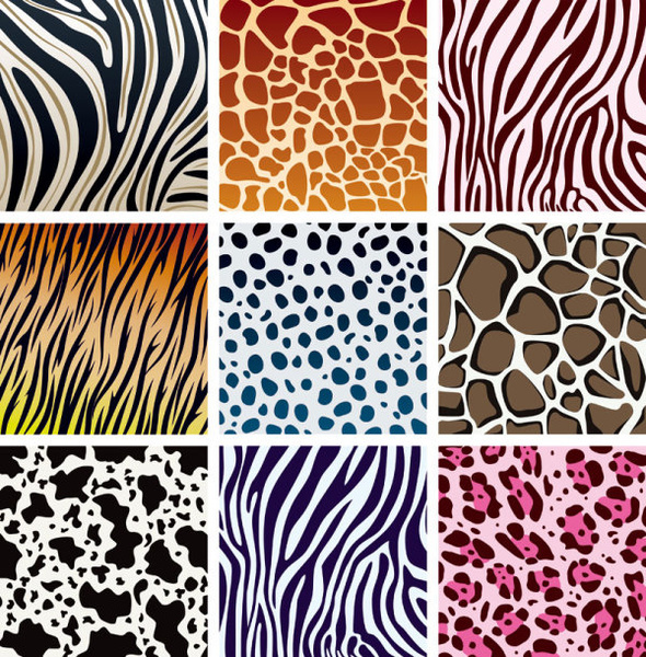 set of leopard pattern vector