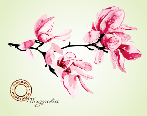 set of magnolia invitations cover vector graphic 