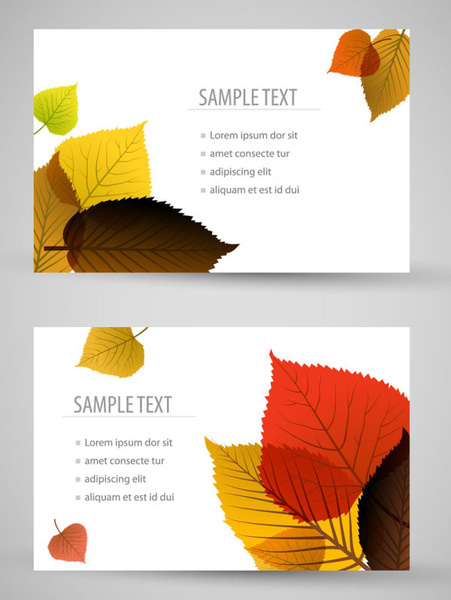 set of maple leaves cards vector