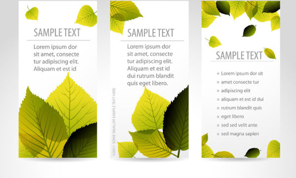 set of maple leaves cards vector