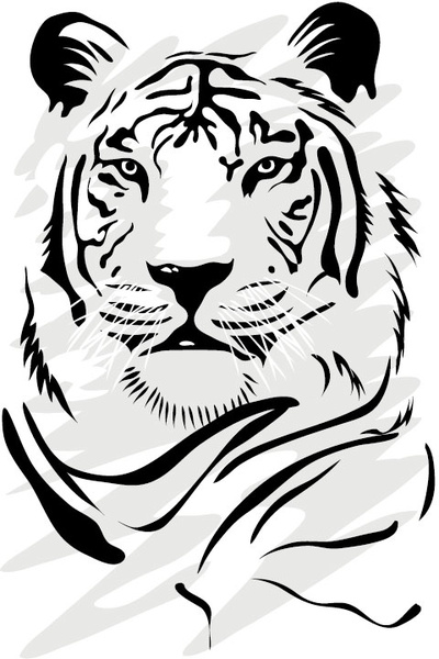 set of tiger vector picture art 