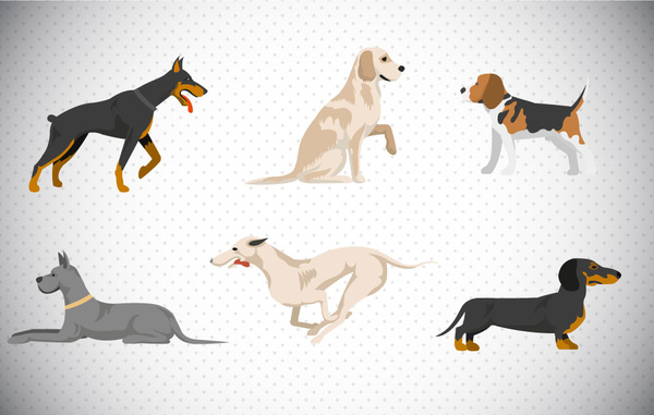 set of various dogs vector illustration