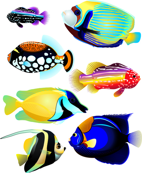 set of various fish vector 