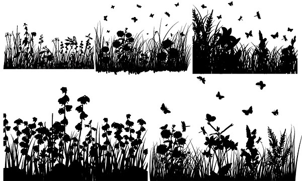 several grass and butterflies silhouette vector