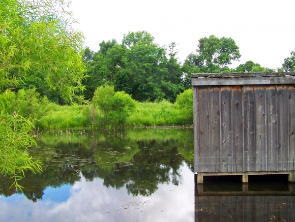 shack on pond