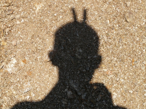 shadow shadow play man
