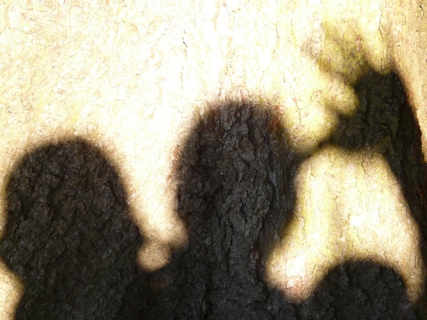 shadow shadow play man