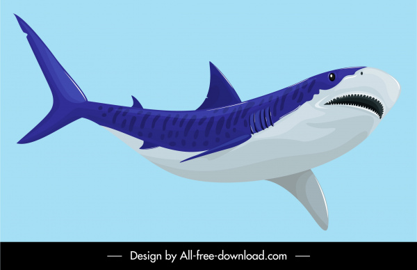 shark painting colored classical sketch