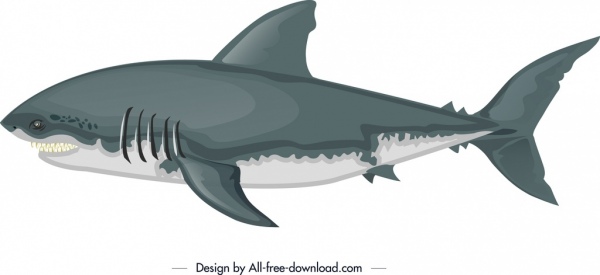 shark painting white grey sketch