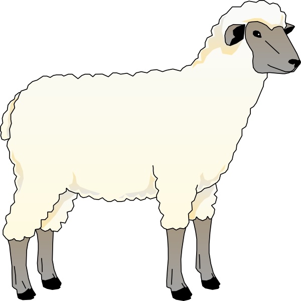 Sheep Ewe clip art 