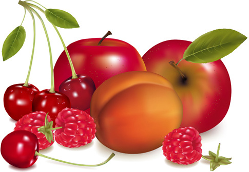 shiny fruits creative vector graphics 