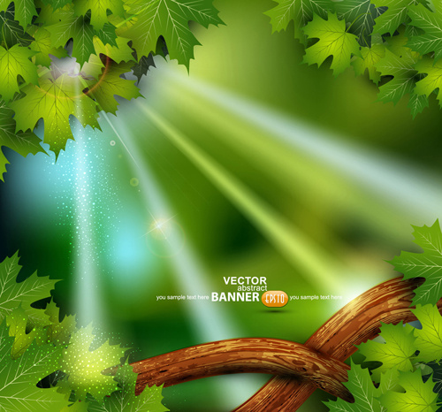 shiny green leaves background design vector
