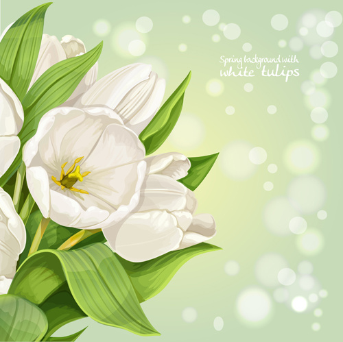 shiny white tulips vector background graphics
