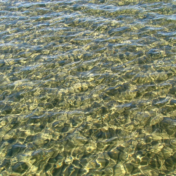 shoreline water crisp