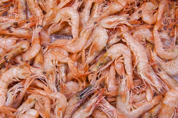 shrimp crabs crustaceans