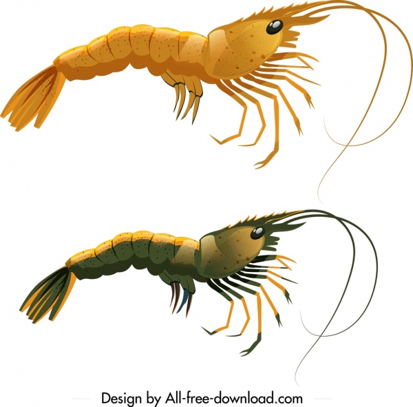 shrimp icons dark bright colored sketch