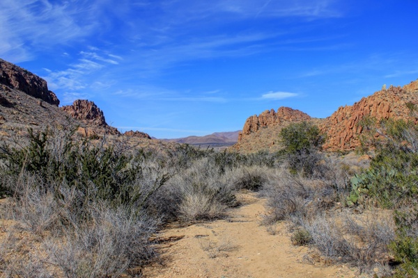 shrubland and canyons at big bend national park texas