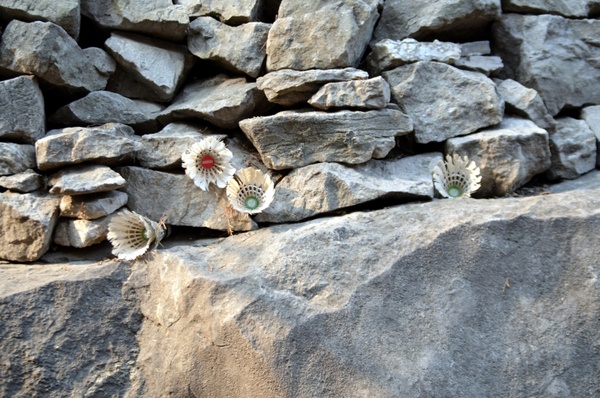shuttlecocks on the rocks