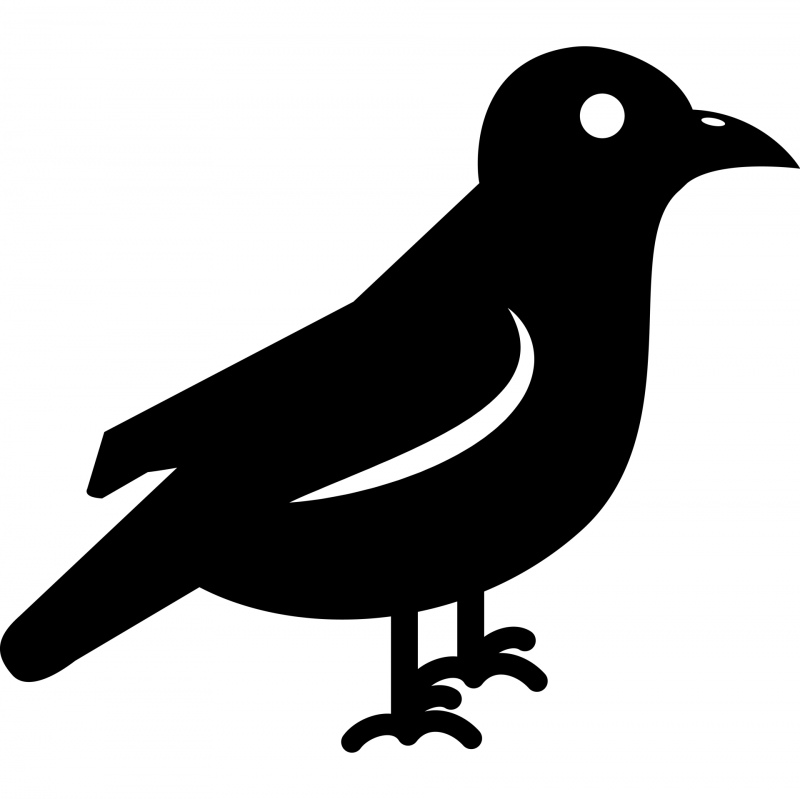 raven crow silhouette species icon