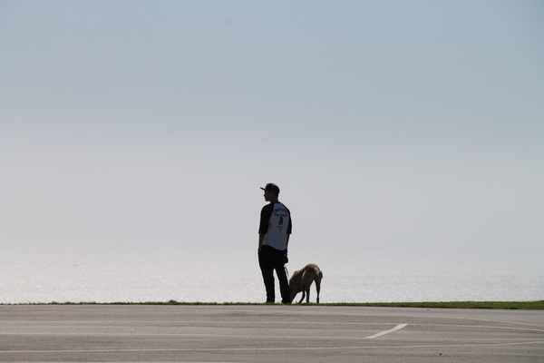 silhouette of man with dog