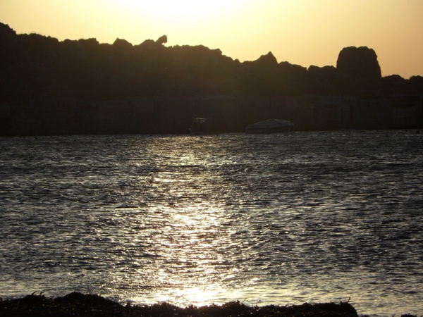 silhouette sea coast