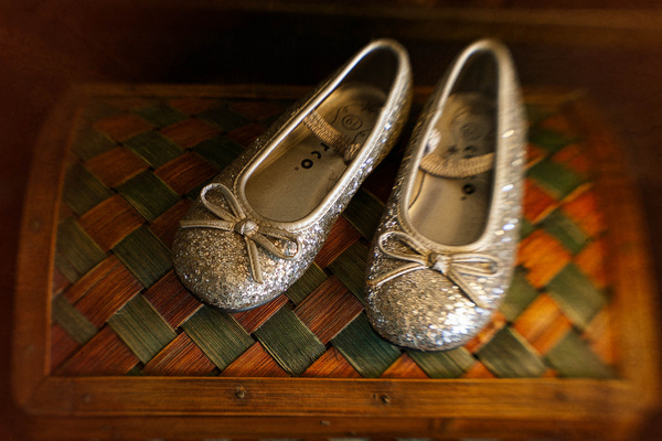 silver slippers 