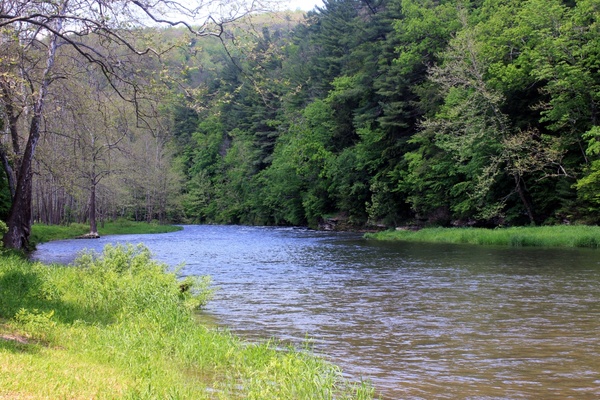 sinnemahoning creek at sinnemahoning state park pennsylvania 