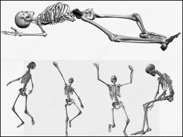 skeleton brush 