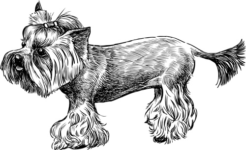 sketch dog design vector