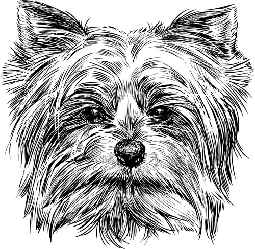 Download Dog free vector download (986 Free vector) for commercial ...