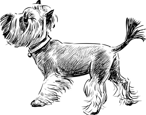sketch dog design vector