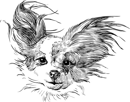 sketch dog design vector 