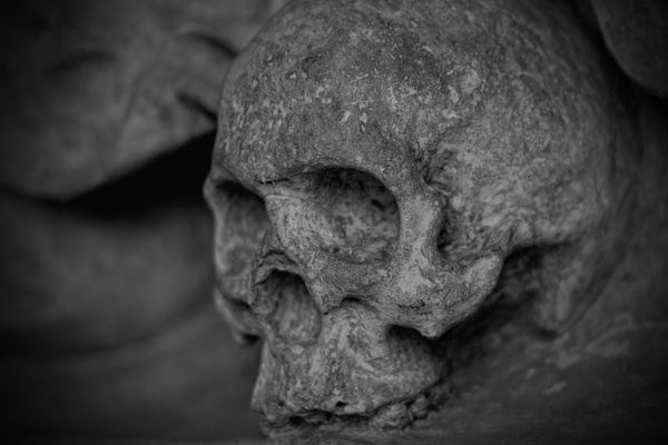 skull and crossbones skull dead