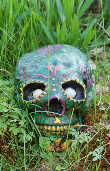 skull green skull garden