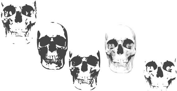 Skull vectors